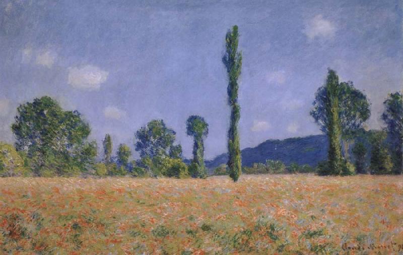Claude Monet Poppy Field oil painting image